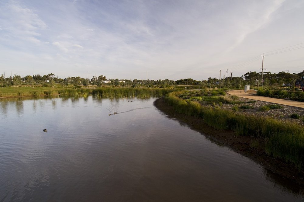 Munno Para Wetlands: 2015