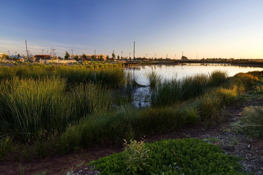 Munno Para Wetlands: 2015