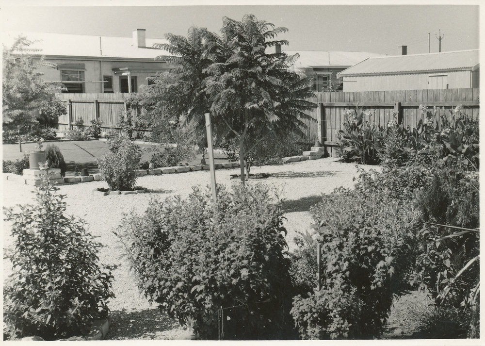 Elizabeth South kindergarten Garden competition: 1959