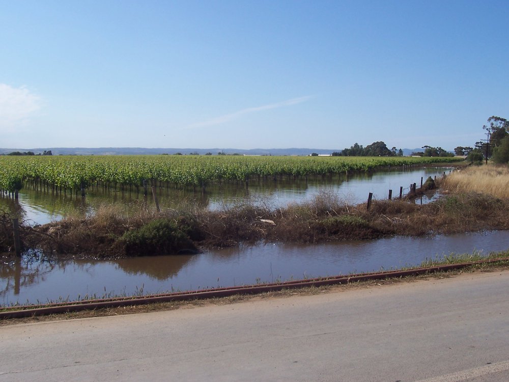Virginia Floods: 2005