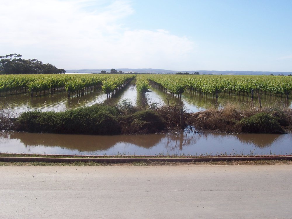 Virginia Floods: 2005