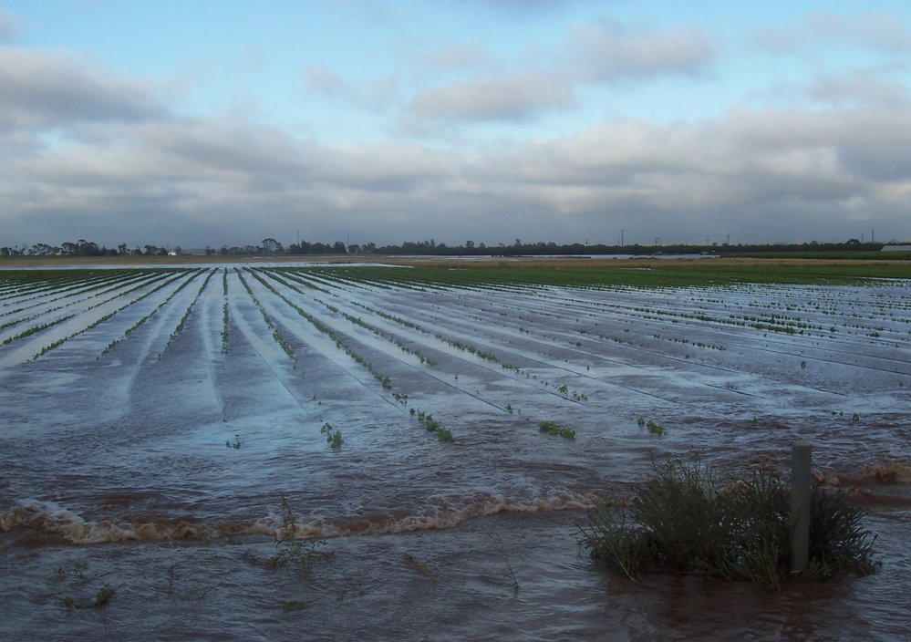 Virginia Flood : 2005