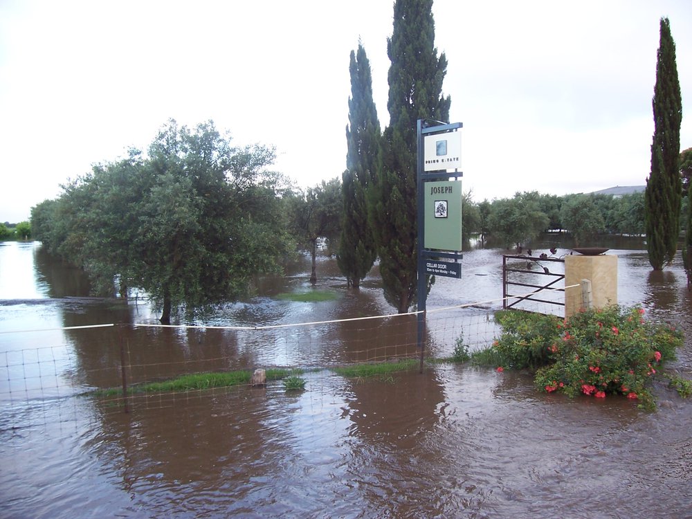 Stebonheath Wetlands Munno Para: 2009