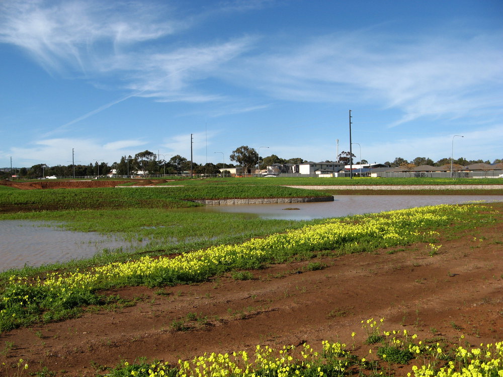 Stebonheath Wetlands Munno Para: 2009