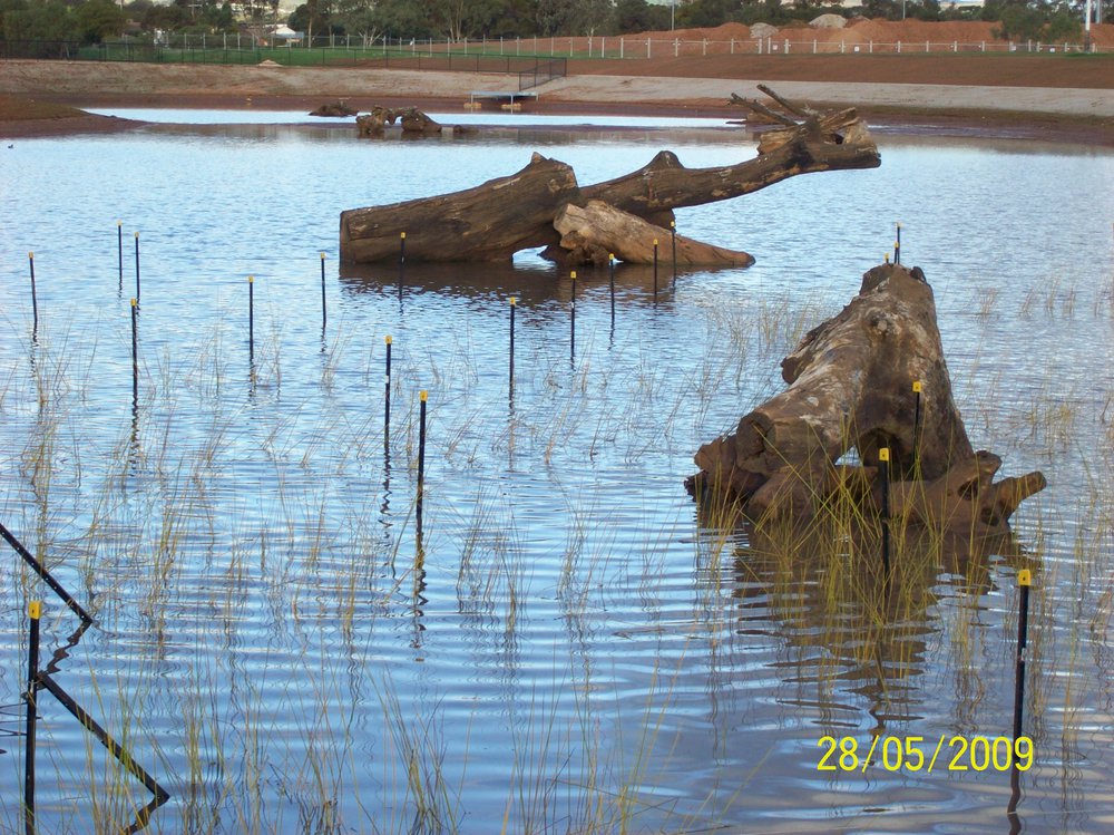 Stebonheath Wetlands Munno Para: 2009
