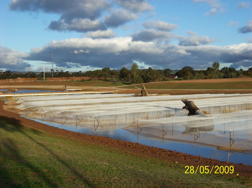 Stebonheath Wetlands Munno Para