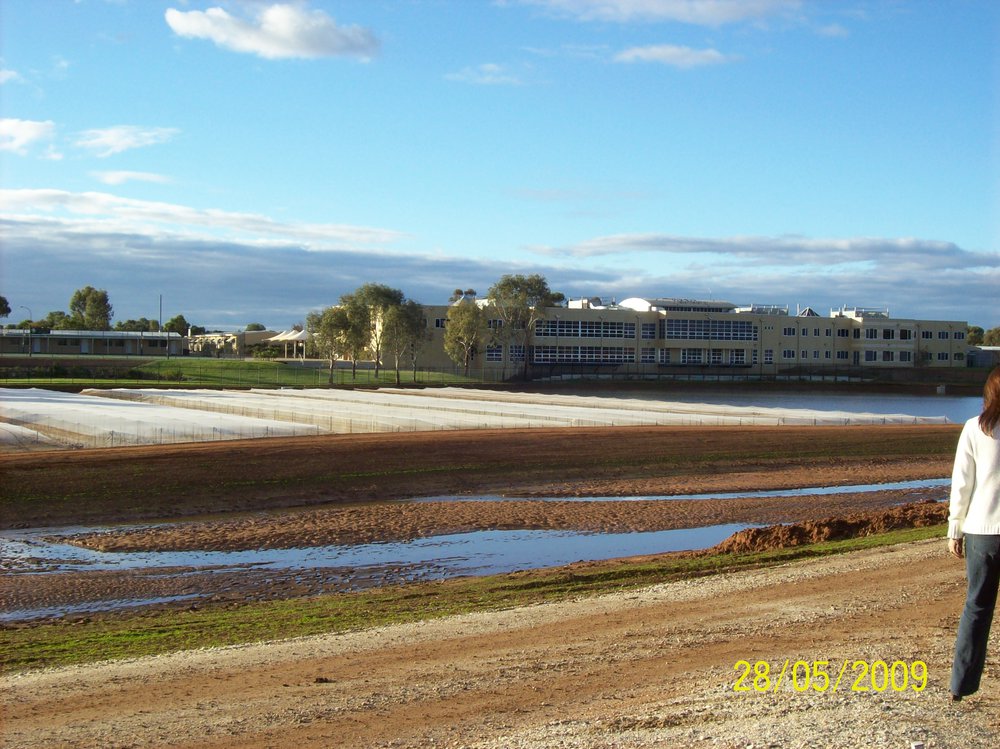Stebonheath wetlands at Munno Para: 2009