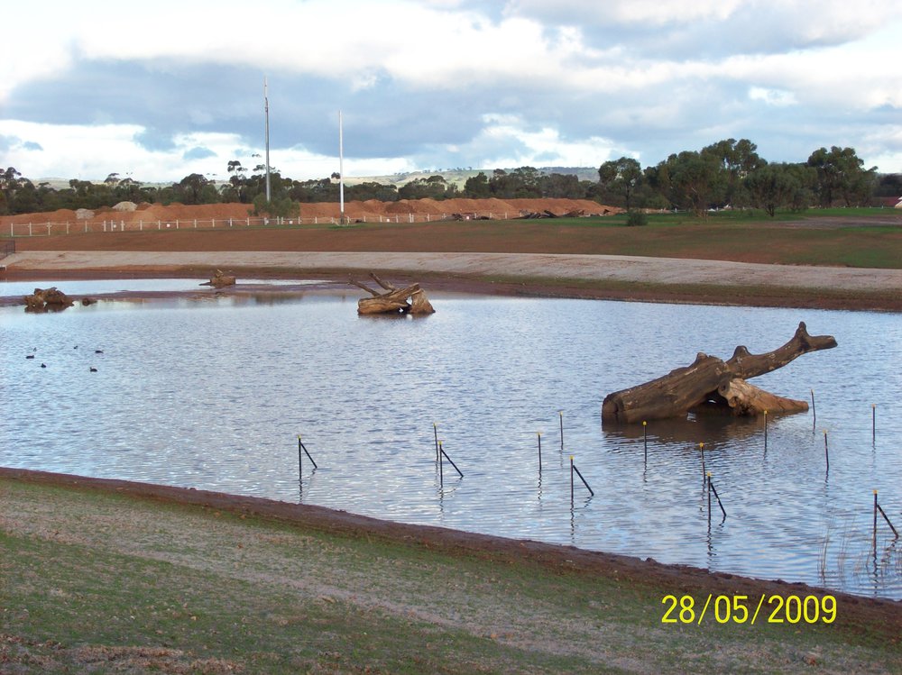 Stebonheath wetlands, Munno Para: 2009