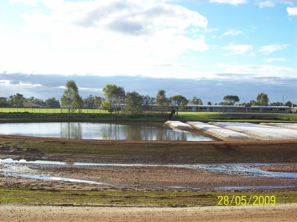 Stebonheath wetlands, Munno Para: 2009