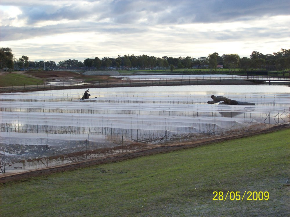 Stebonheath wetlands, Munno Para: 2009