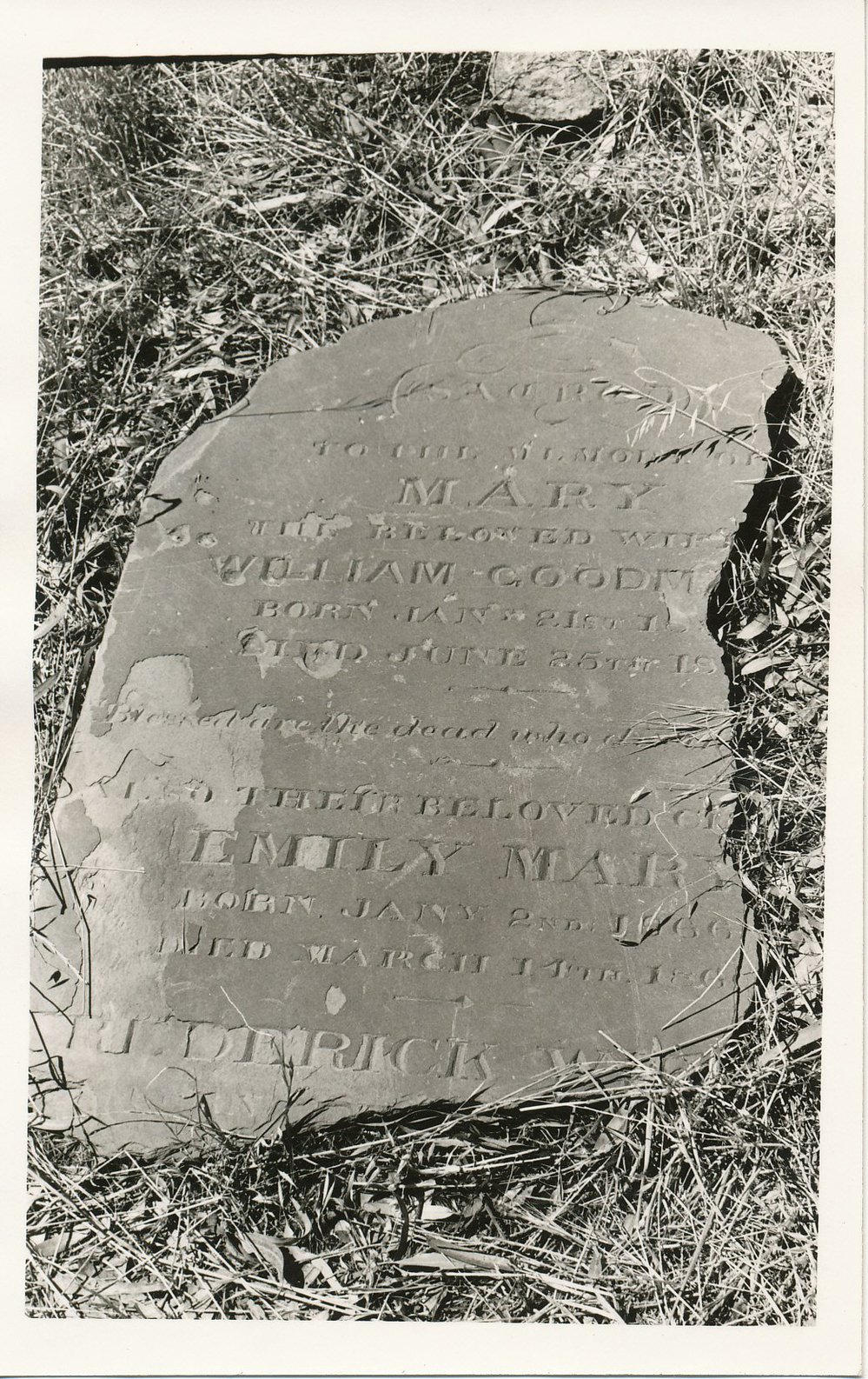 Little Para Wesleyan Cemetery, Hillbank: 1979