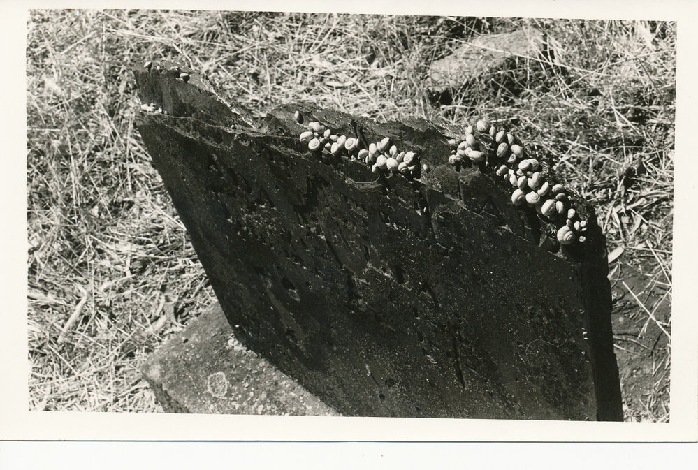 Little Para Wesleyan Cemetery, Hillbank: 1979