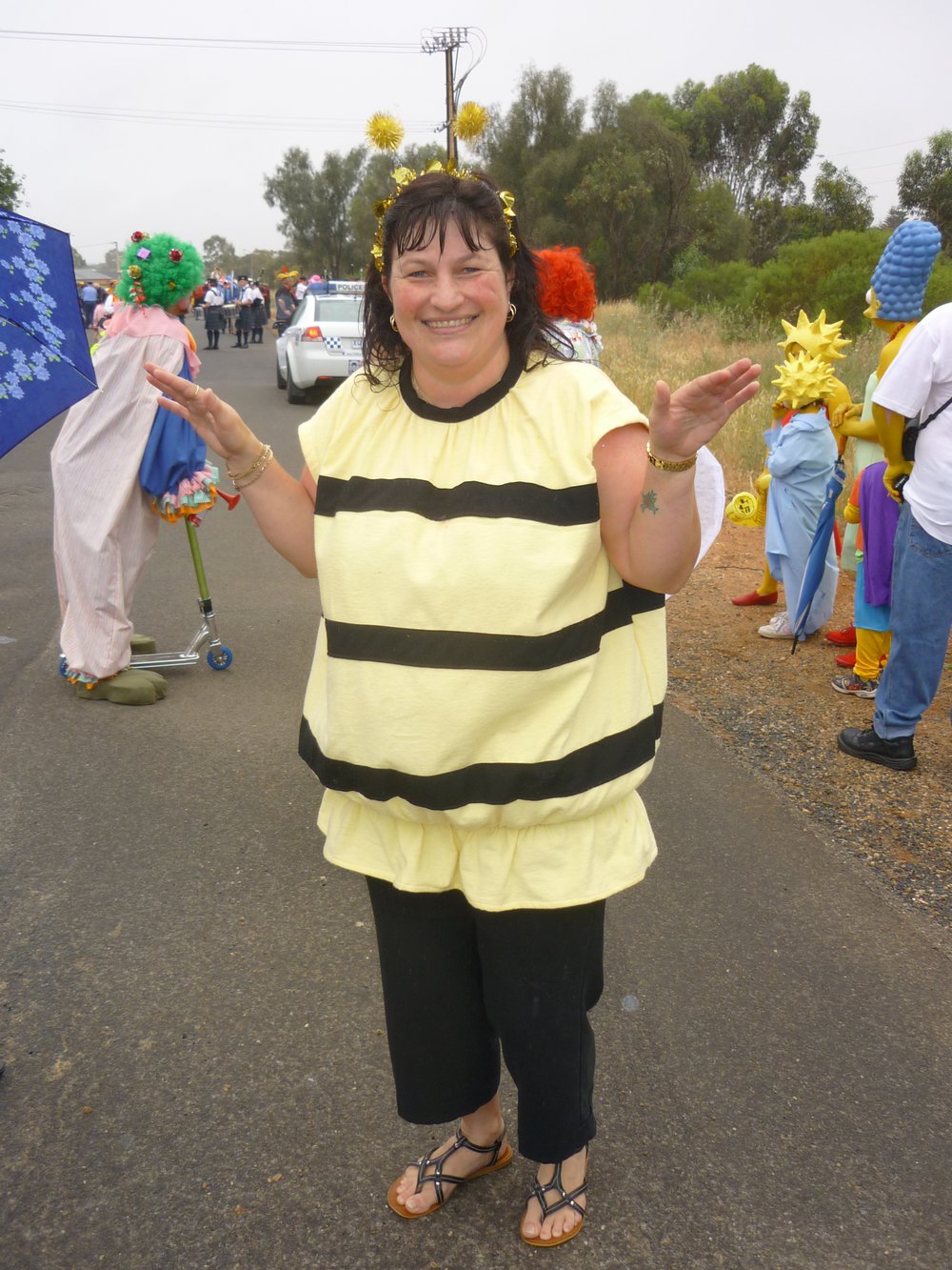 Playford Christmas Pageant: 2010