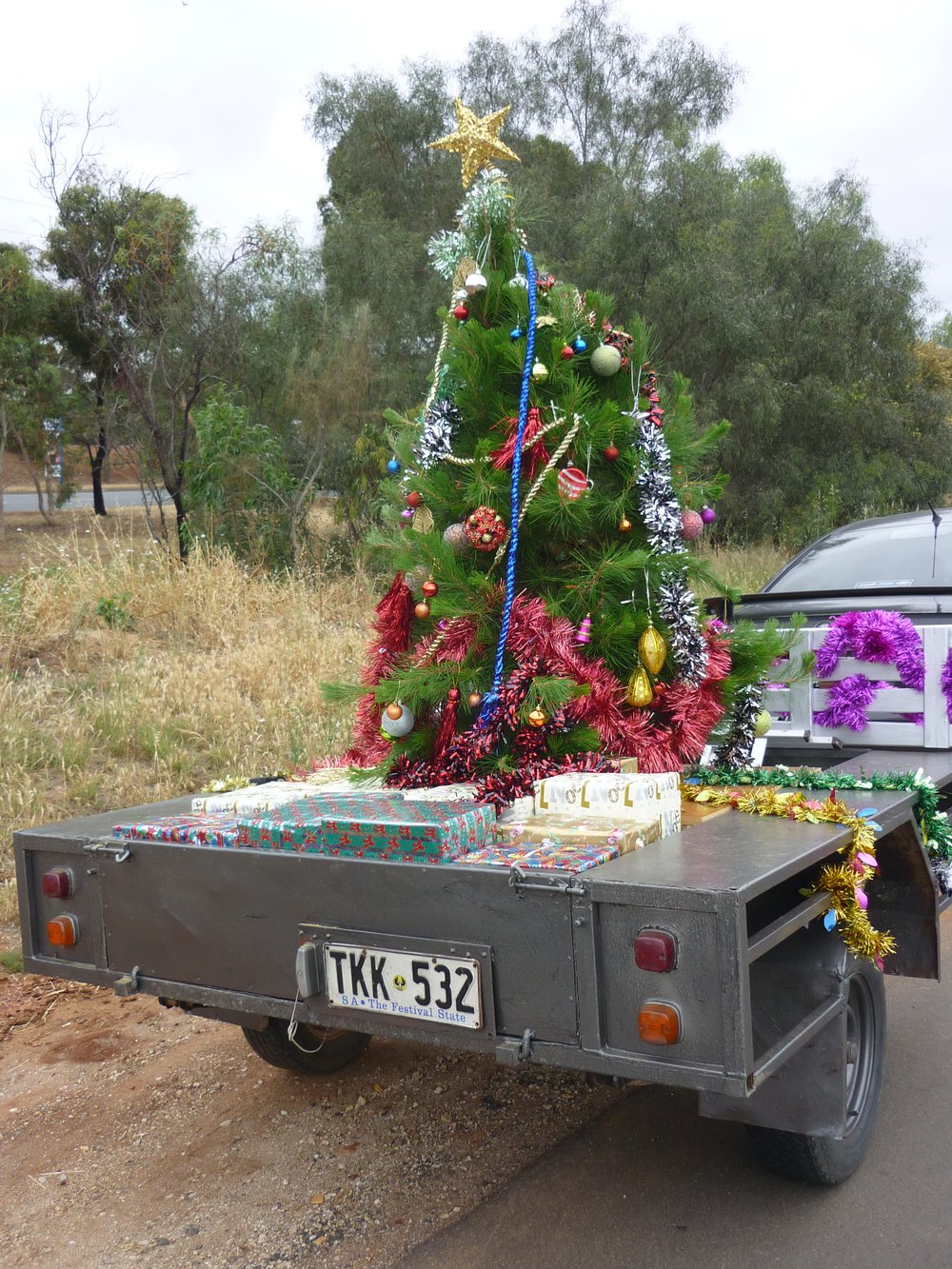 Munno Para Christmas Parade: 2010