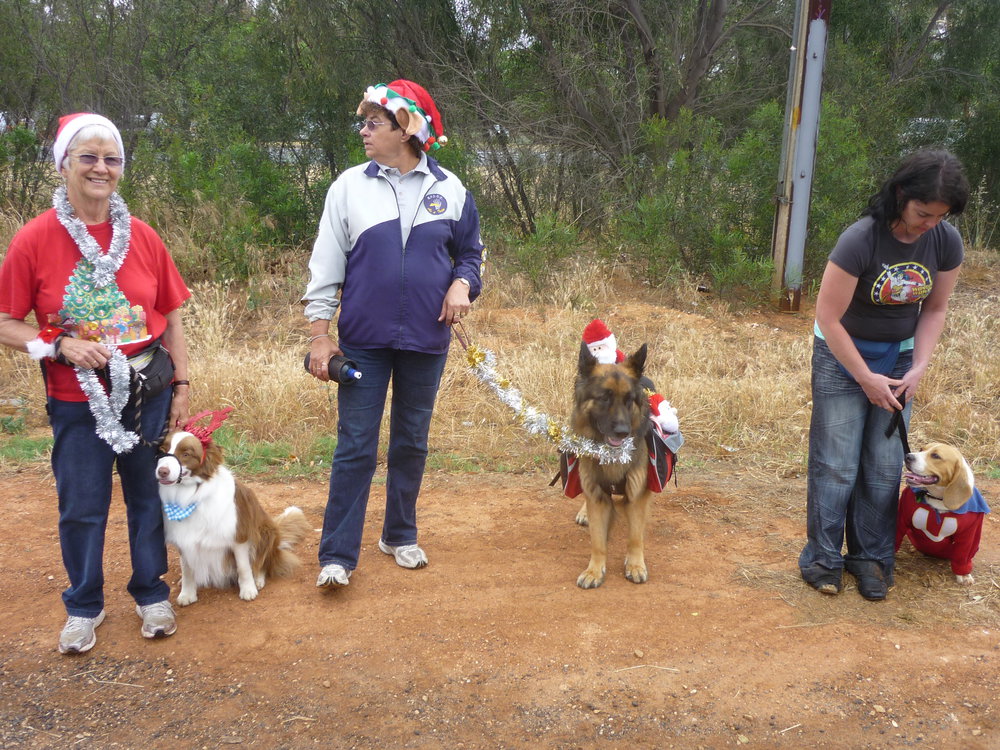 Munno Para Christmas Parade: 2010