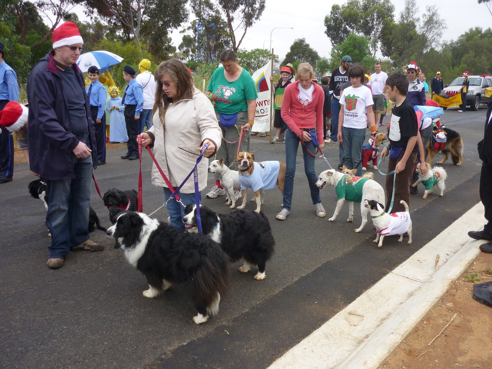 Munno Para Christmas Parade: 2010