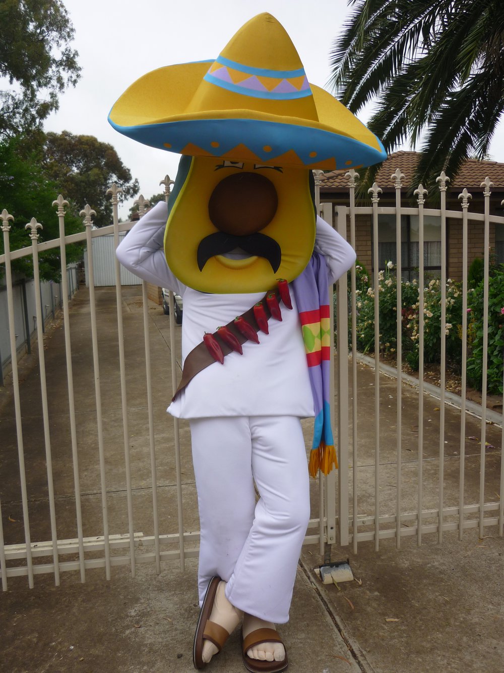 Munno Para Christmas Parade: 2010