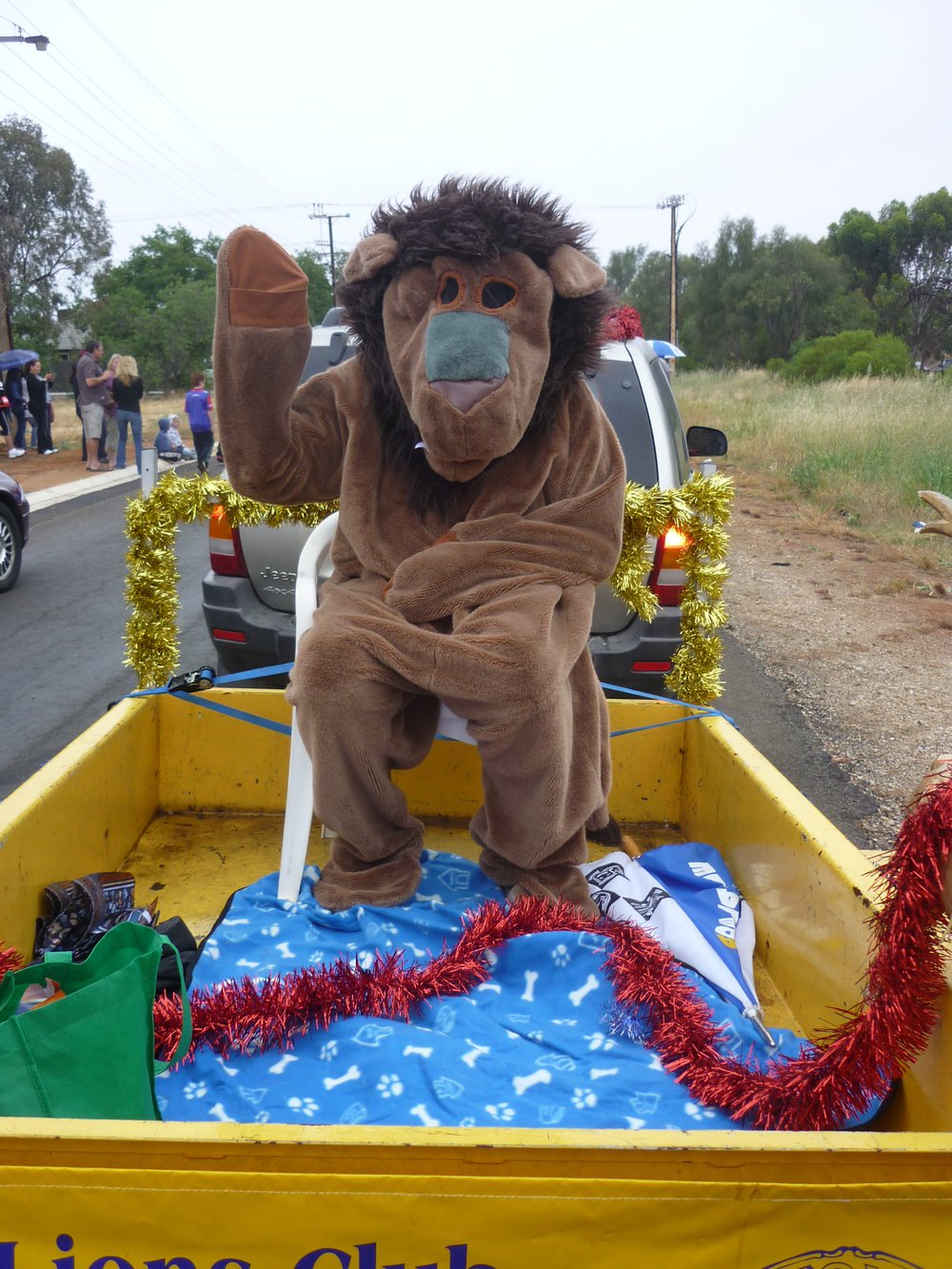 Munno Para Christmas Parade: 2010