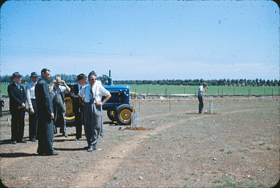 Elizabeth windbreak planting: c. 1956