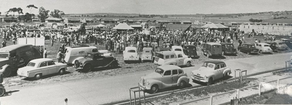 Elizabeth Birthday celebrations: 1955