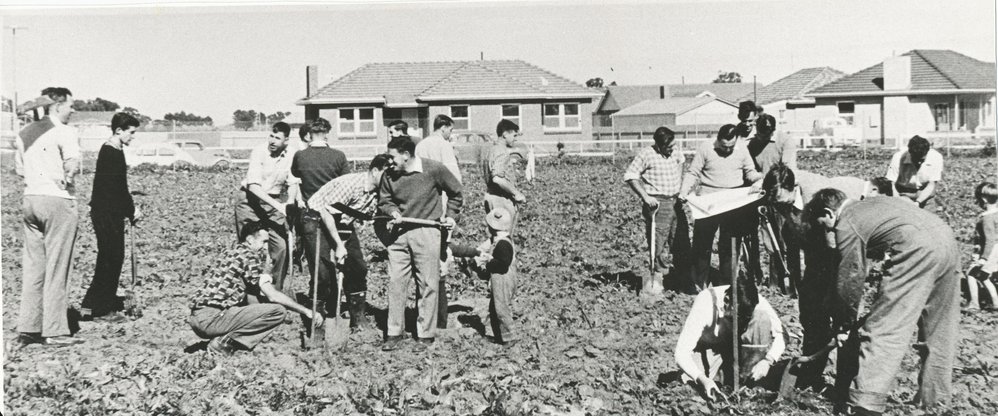 Lyell McEwin Hospital: 1960