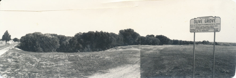 Olive Grove Reserve, Elizabeth East