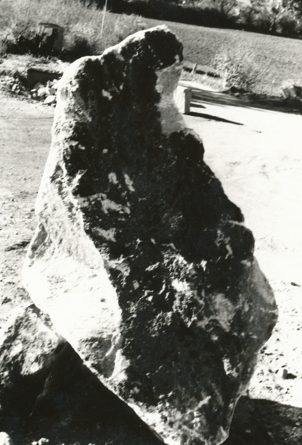 Elizabeth East Community Sculpture: 1984