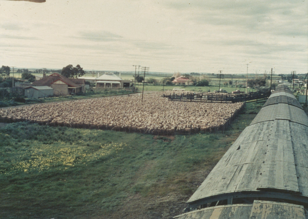 Smithfield Railway Station : 1969