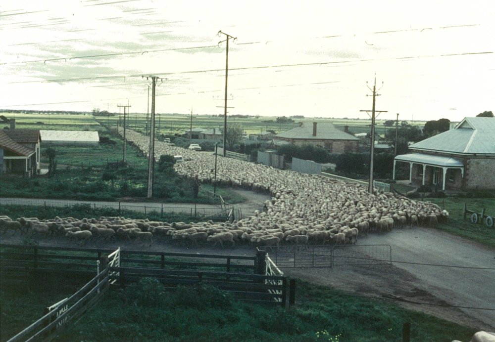 Smithfield Railway Station: 1969