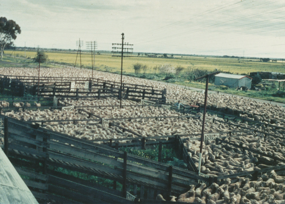 Smithfield Railway Station: 1969