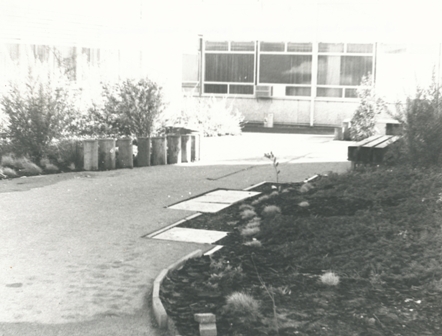 Fremont High School: 1980