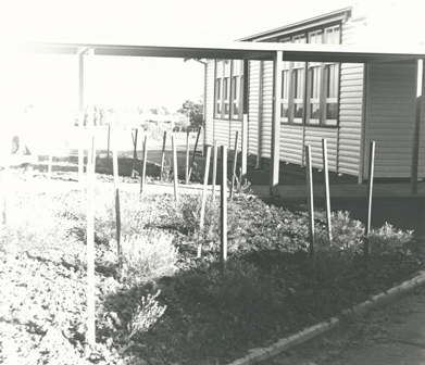Fremont High School : 1980
