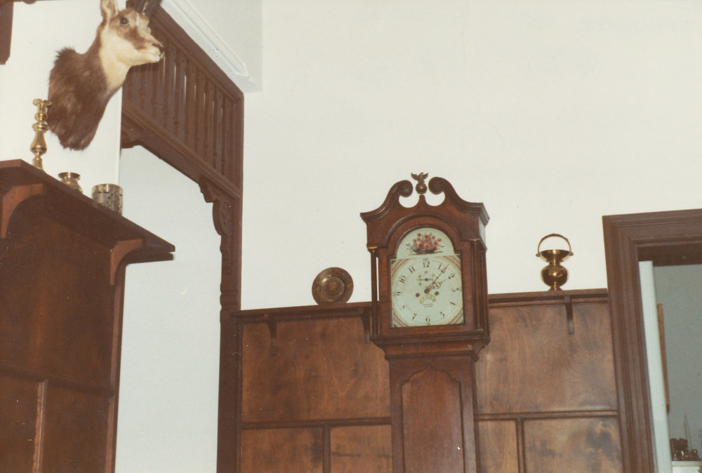 Yelki Property, One Tree Hill