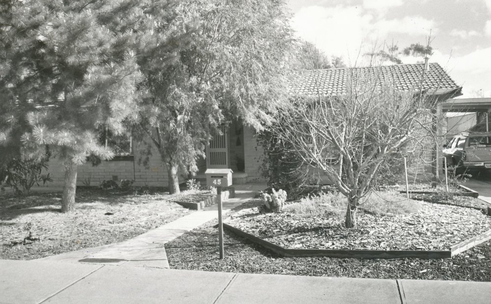 45 Barrington Road, Elizabeth Downs