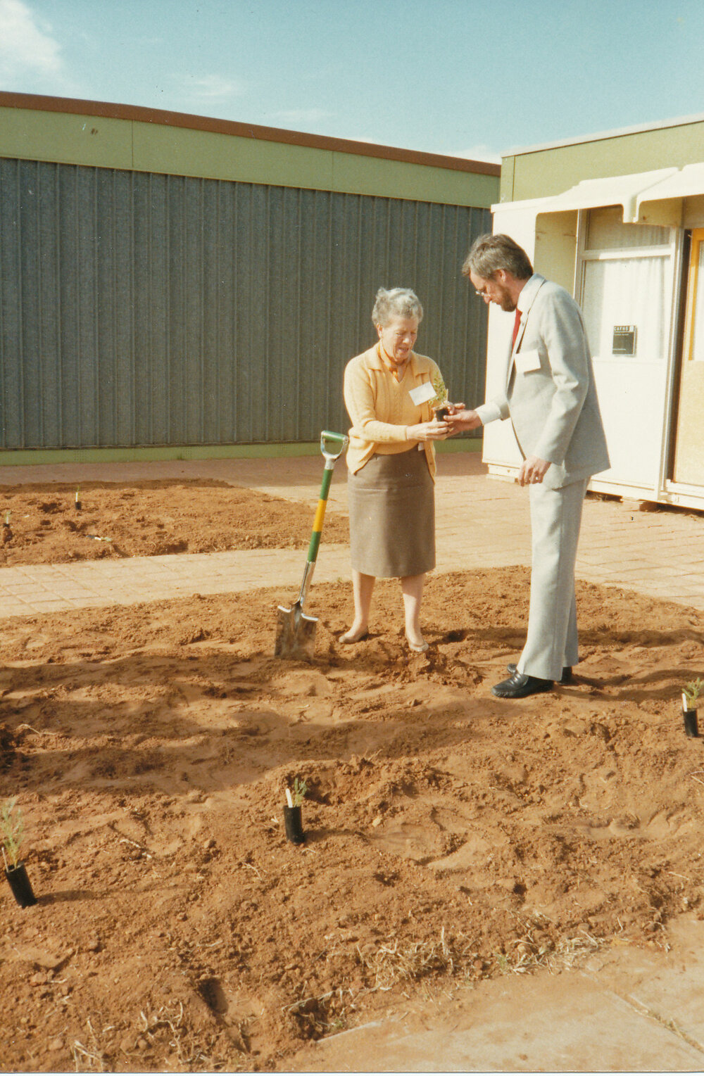 Greening of Munno Para