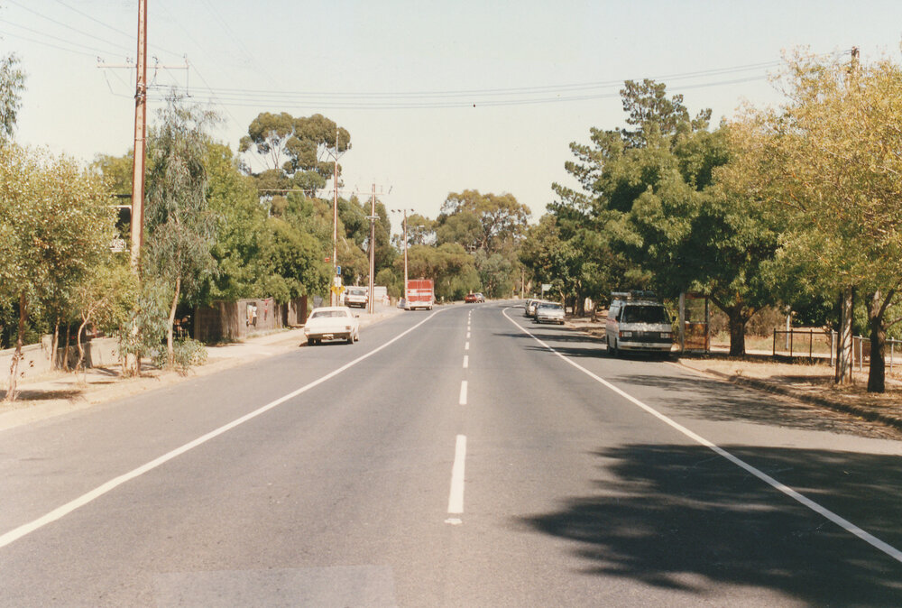 Blacktop Road, One Tree Hill