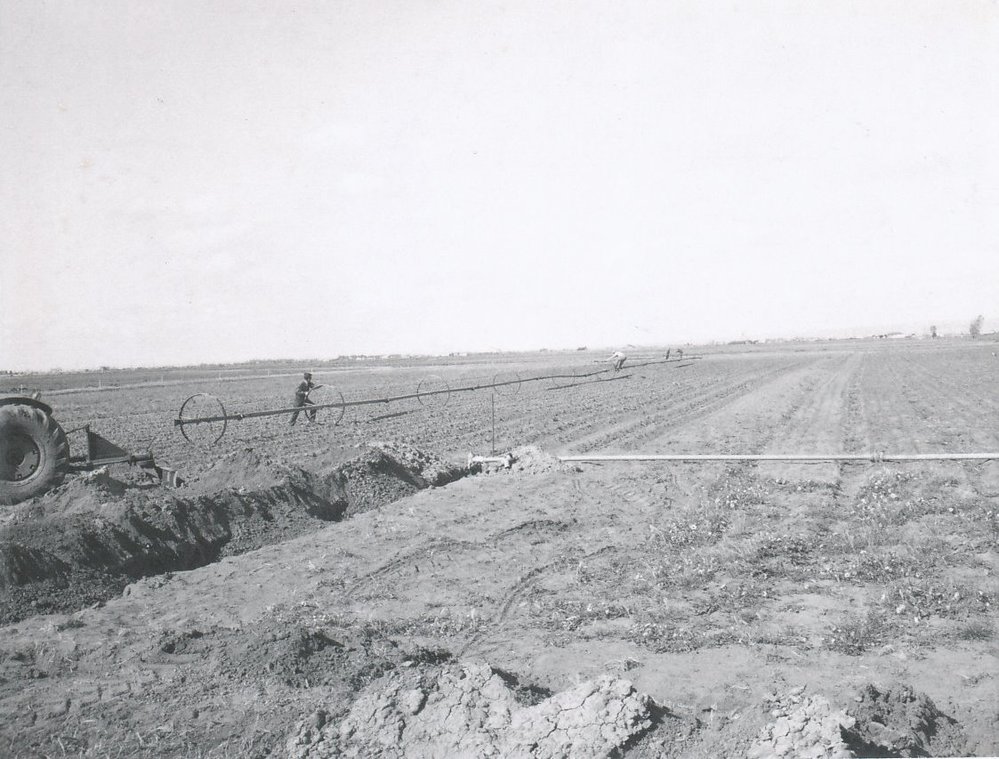 Irrigation, Virginia Area