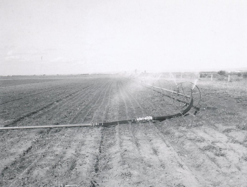 Irrigation, Virginia Area