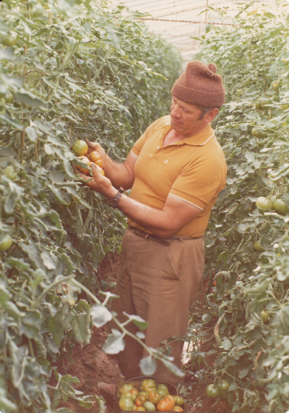 Velcheff's Market Garden