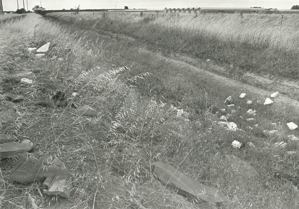 Fradd Road, Angle Vale