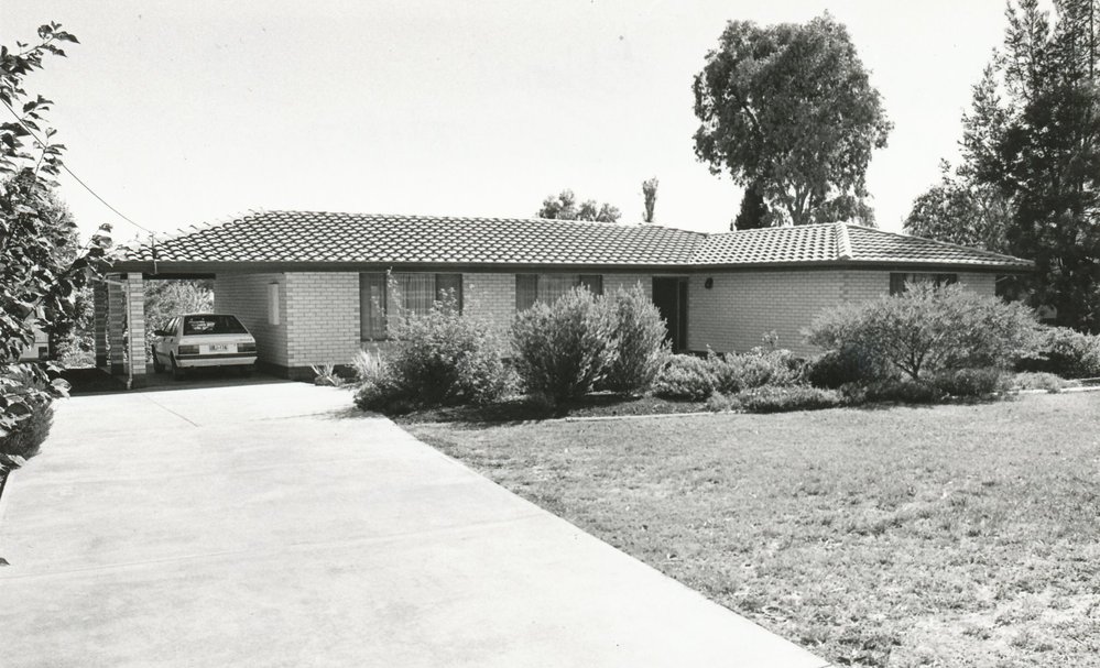 Blacktop Road, One Tree Hill