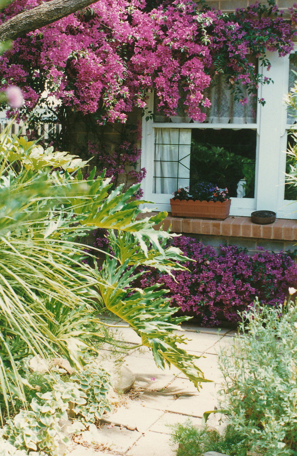 Garden of the Year, 1996