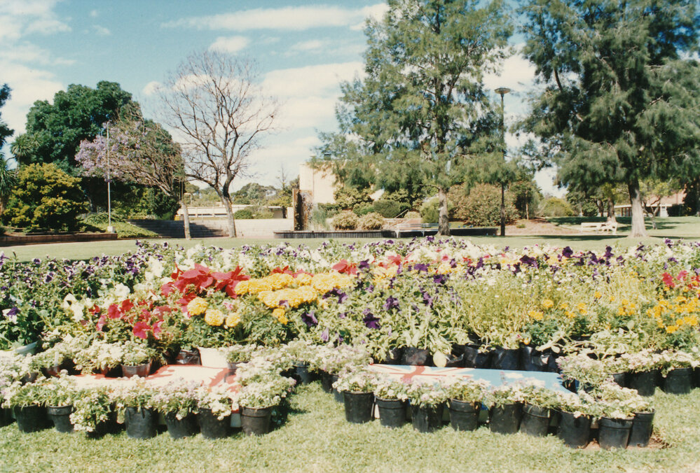 Garden Display on Windsor Green
