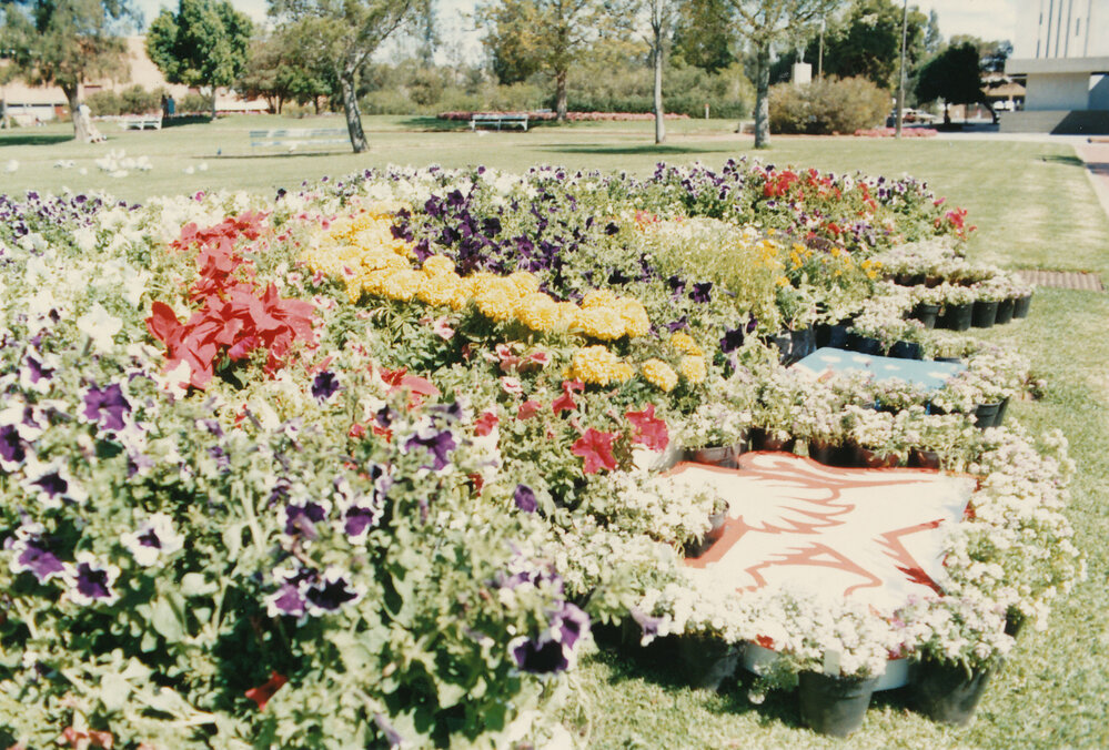 Garden Display on Windsor Green
