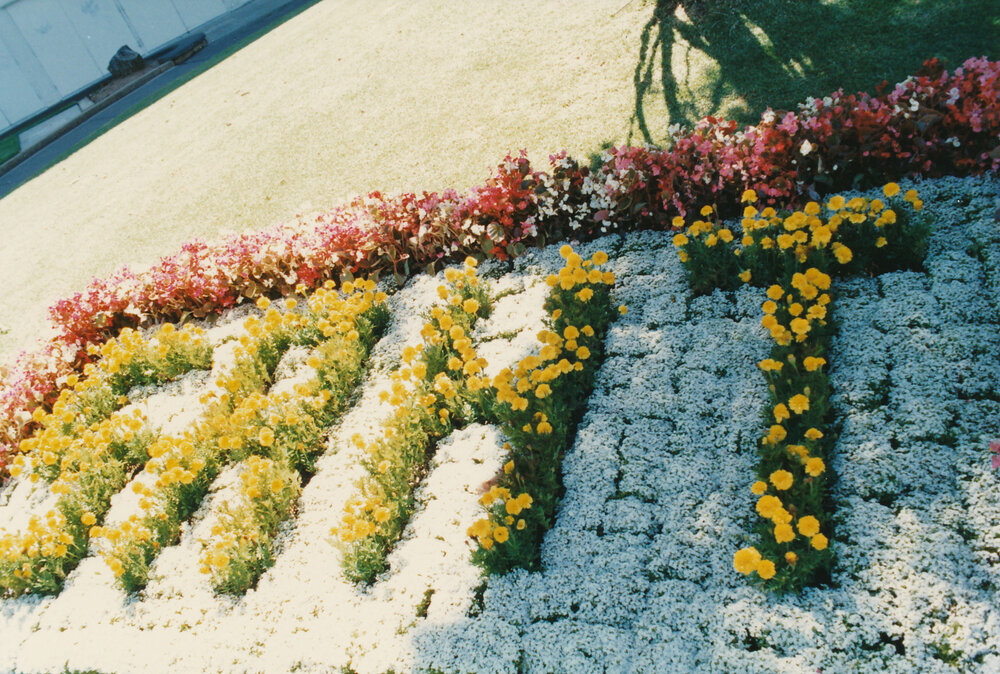 Garden Display on Windsor Green