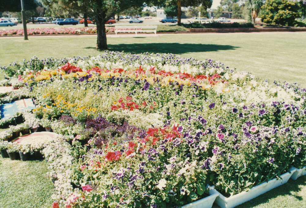 Garden Display on Windsor Green