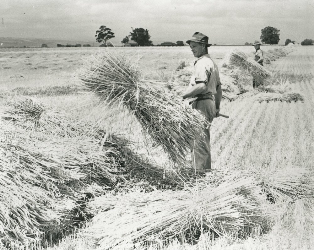 Worden Farm, Angle Vale