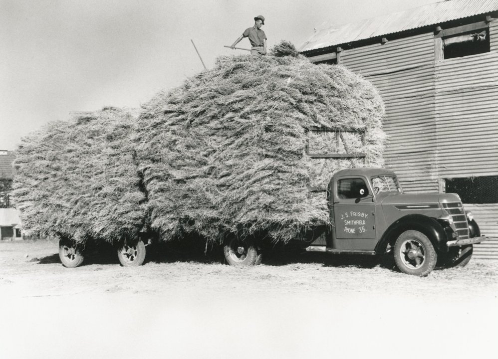 Harold Frisby Carting Hay