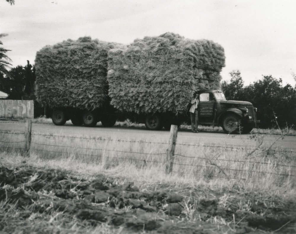 Harold Frisby Carting Hay