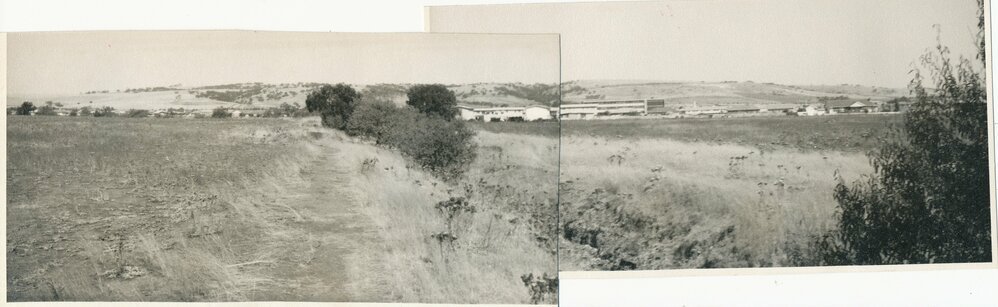 Elizabeth Town Common (Fremont Park)